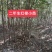 【榉树】二年生榉树苗，绿化造林用苗，苗圃栽植，庭院栽植