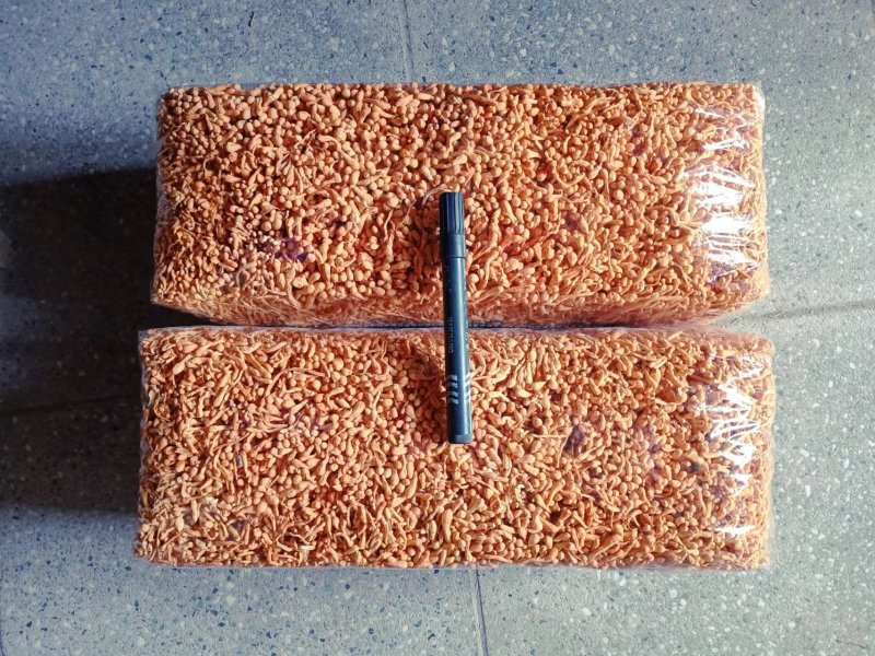 精品特粗条虫草花，产地发货，一手货源，价格实惠。质量好。