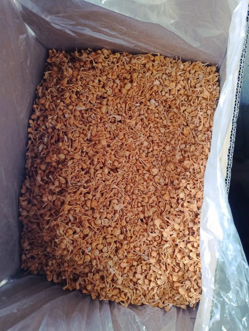 精品特粗条虫草花，产地发货，一手货源，价格实惠。质量好。