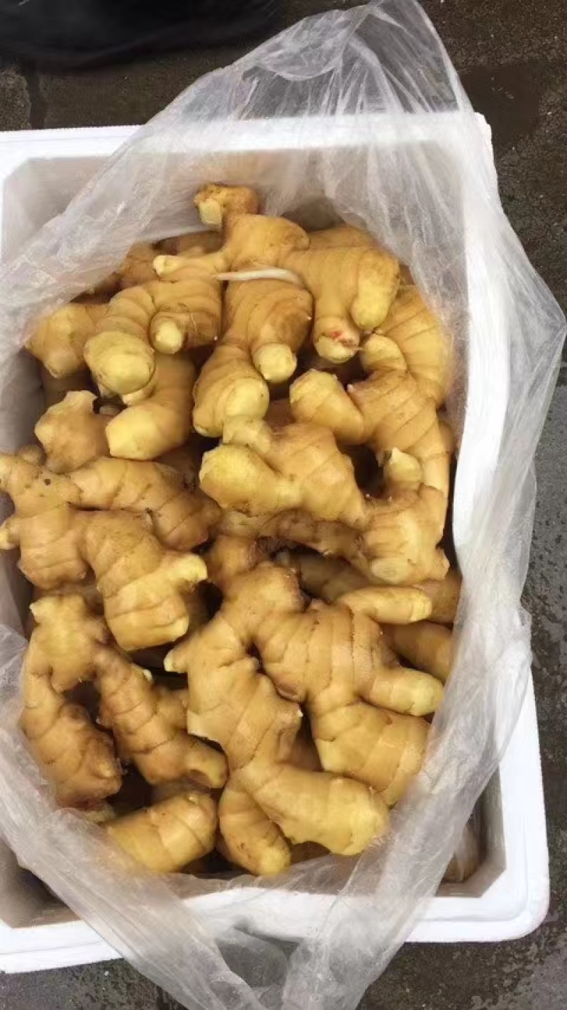 生姜大黄姜，块头大，品相好，价格美丽，服务周到，合作放心