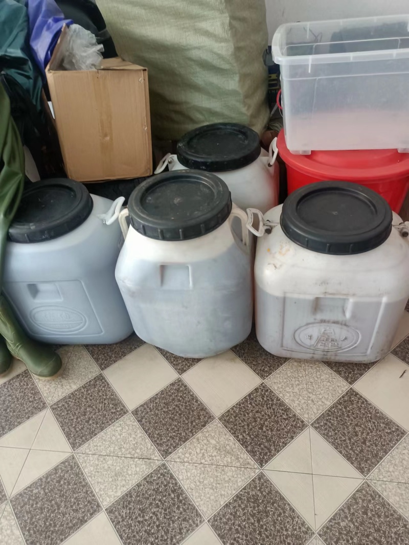 精品蜂蜜土蜂蜜一手货源视频看货品质保证以质论价欢迎来电