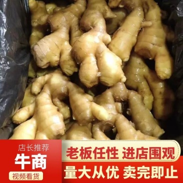 生姜大黄姜，块头大，品相好，价格美丽，服务周到，合作放心