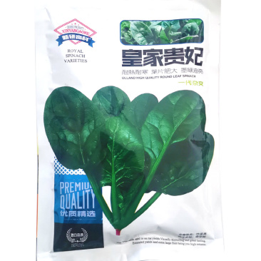 菠菜种子耐热耐寒叶片肥大墨绿油亮春秋播越冬菠菜种