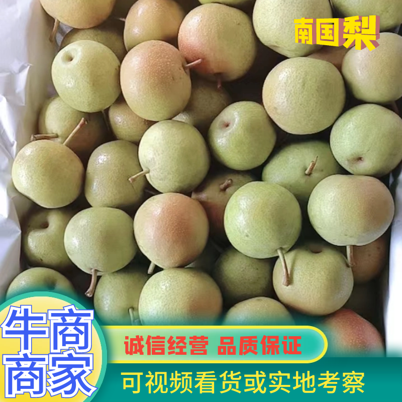 精品梨南果梨一手货源视频看货品质保证以质论价