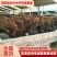 [热荐]肉驴苗驴驹场家直销包技术包运输包成活