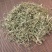 谷精草