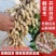 花生鲜花生四粒红大白鲨系列花生精选过筛电商超市量