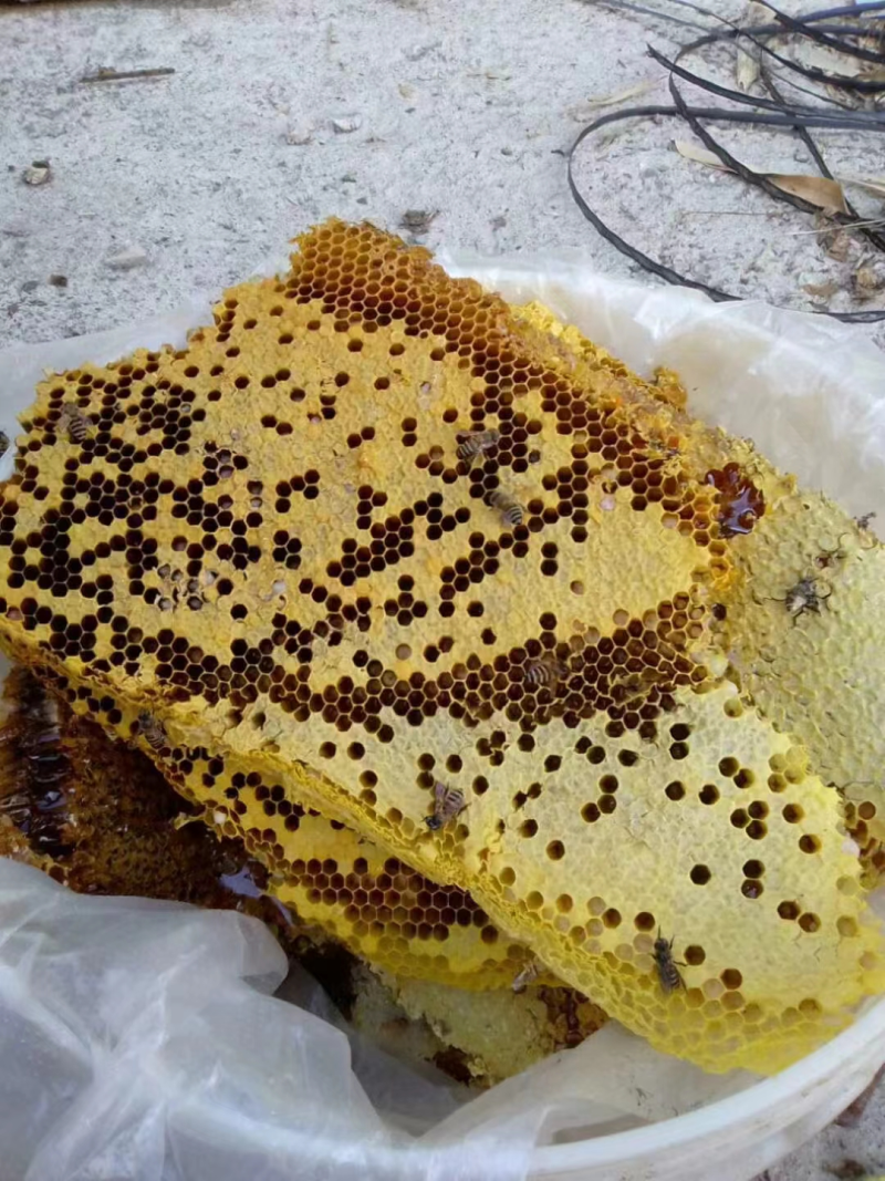云南土蜂蜜，蜂蜜，品质有保障，诚信经营，量大从优，欢迎选购