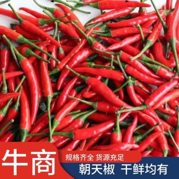 辣椒，朝天椒，小米椒，产地代收，货源充足，电联洽谈
