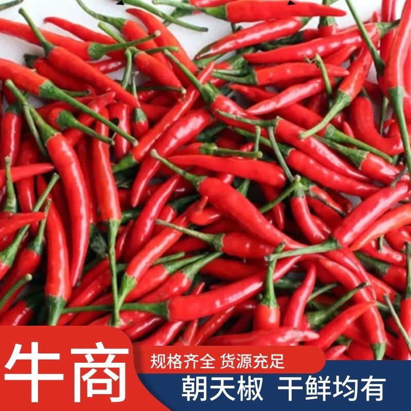 辣椒，朝天椒，小米椒，产地代收，货源充足，电联洽谈