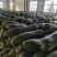 精品冬瓜大量上市中产地货量诚信合作服务保质保量