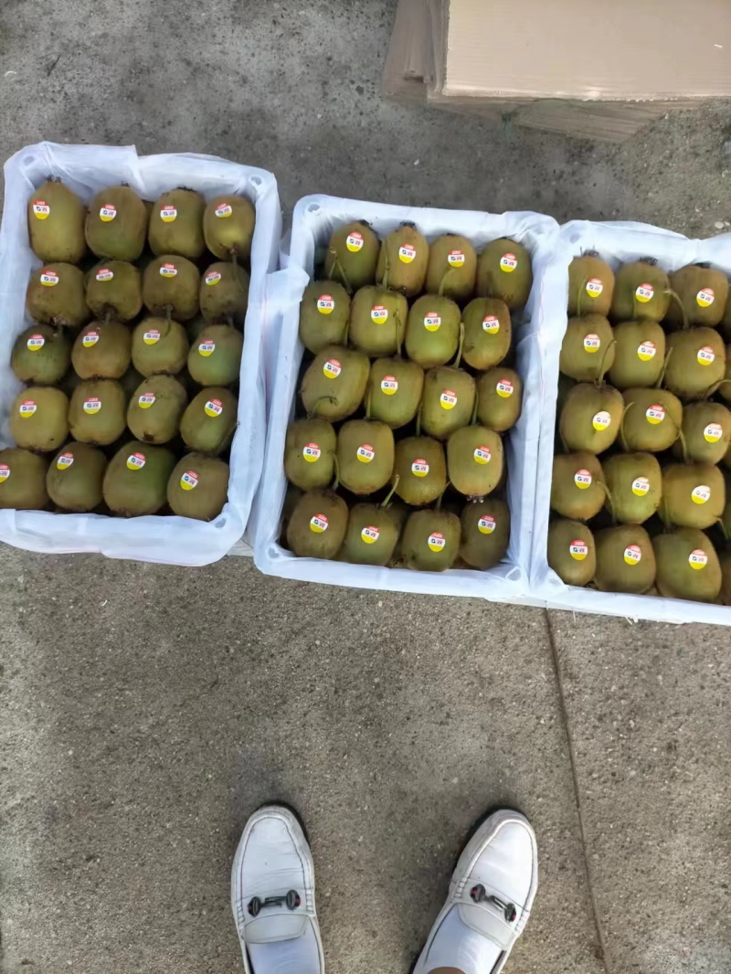 猕猴桃品质有保障，诚信经营，量大从优，欢迎选购