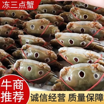 80-100克，冻三点蟹蟹肉饱满新鲜美味冻厂直批