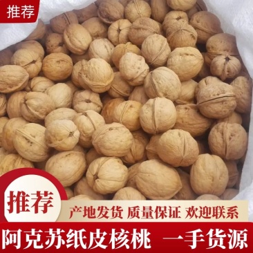 新疆185核桃25mm以上去皮干，阿克苏纸皮核桃