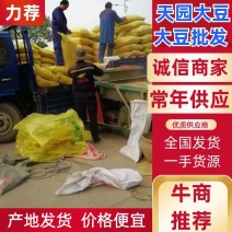 大豆批发，天园大豆，诚信经营，全国发货，专注豆制品厂