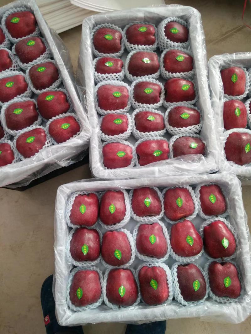 【产地新货】花牛苹果精品花牛原产地发货甘肃天水