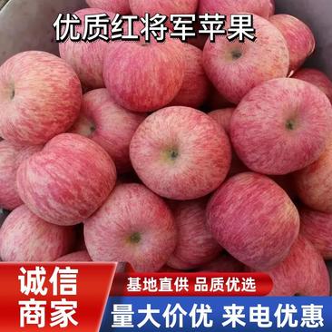 苹果优质苹果红富士苹果大量订货中！价格不高！货源充足！