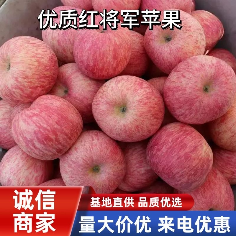 苹果优质苹果红钱富士苹果大量订货中！价格不高！货源充足