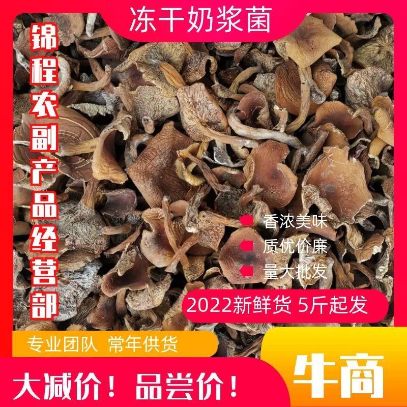 奶浆菌干货云南奶浆质量好价格低欢迎联系