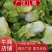 广汉基地货精品儿菜，货源稳定，欢迎各地老板来电洽骚扰