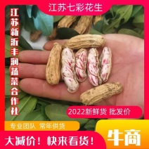 2026年.七彩花生.可做种子，（批发大量优惠）
