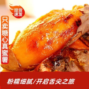 河北烟薯25蜜薯烤薯专用产地直发优选红薯软糯地瓜沙地红皮