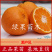 濑户见柑橘苗橘子树苗新品种