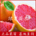 玫瑰香橙苗橙子树苗香橙苗