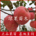 蜜脆甜苹果苗嫁接苹果苗矮化苹果苗