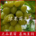 秋天清脆葡萄苗自然无核脆甜爽口