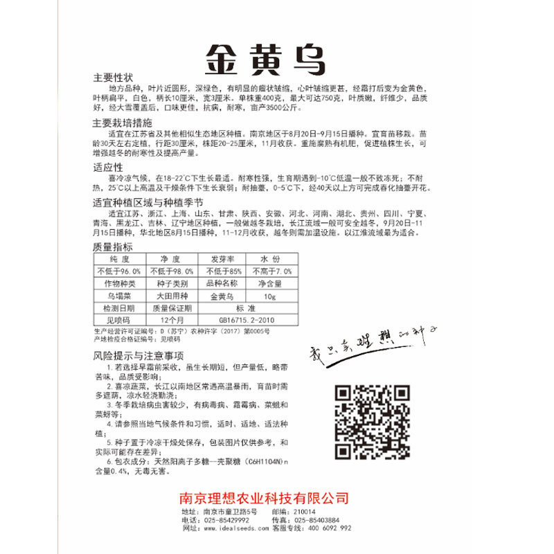 金黄乌塌菜种子耐抽苔抗病耐寒打霜都不怕生长速度快