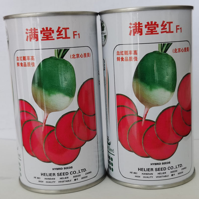 心里美萝卜种子满堂红萝卜肉质脆绿皮红芯高产基地种植