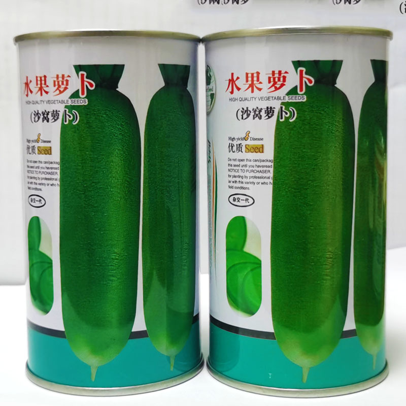 沙窝萝卜种子速度快不糠心水果萝卜翠绿肉肉质嫩基地品