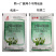 2甲4氯钠二甲四氯玉米田一年生阔叶杂草除草剂农药除草