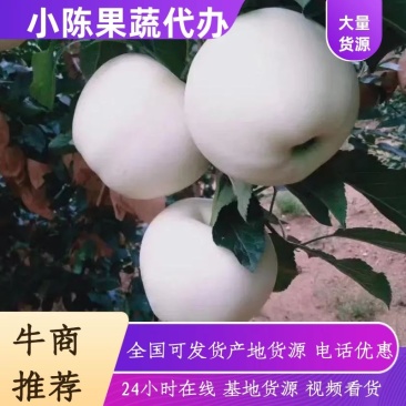 黄元帅苹果产地直发量大从优一手货源欢迎联系看货
