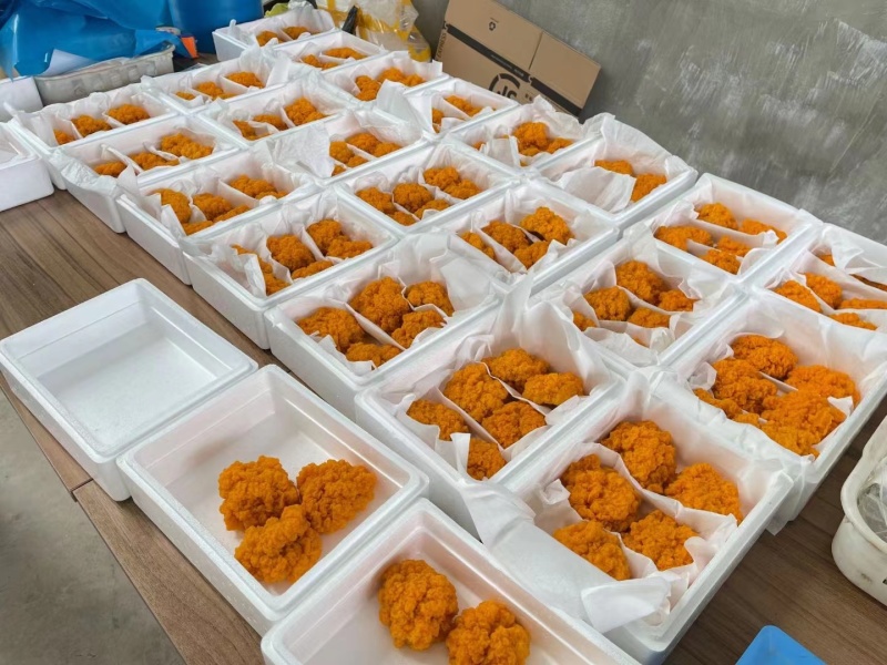 云南干金耳货源充足，量大从优，欢迎选购看货，联系有优惠