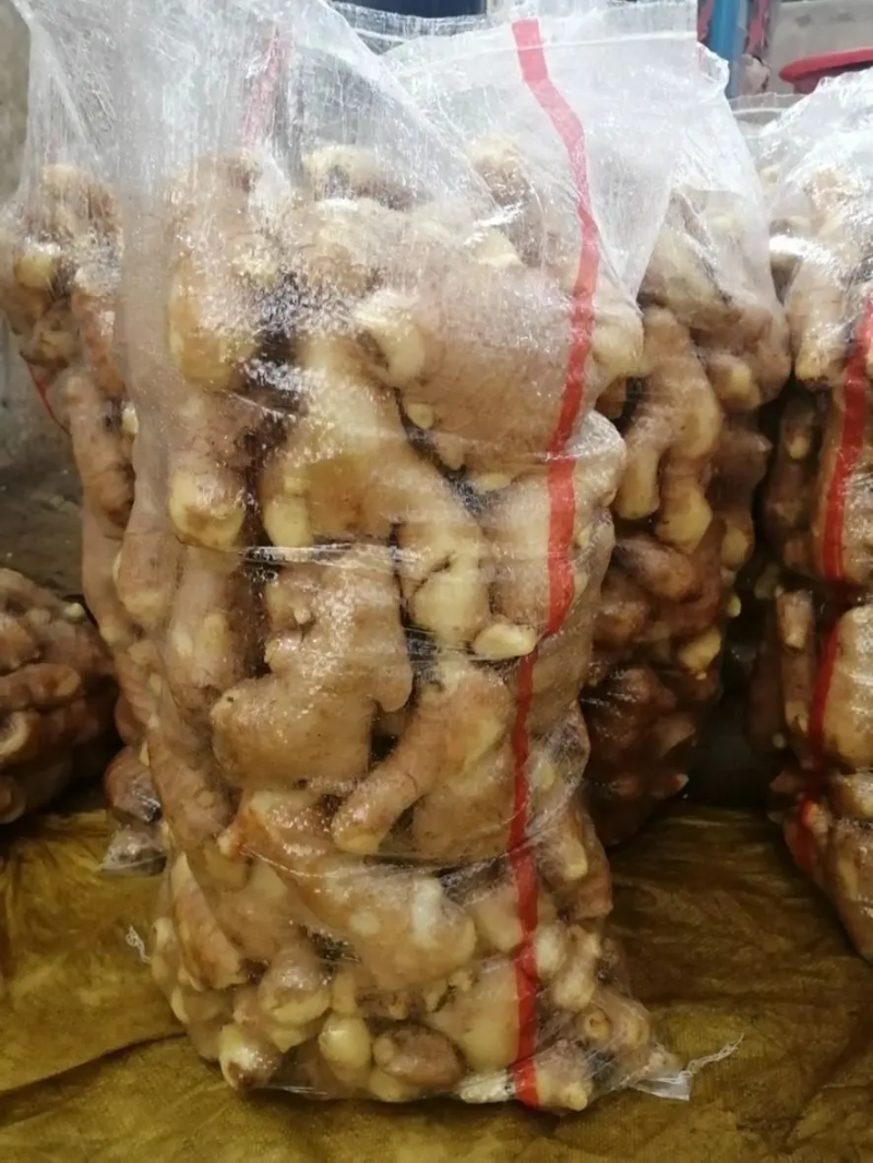 精品小黄姜生姜产地直发品质保证对接各类客户