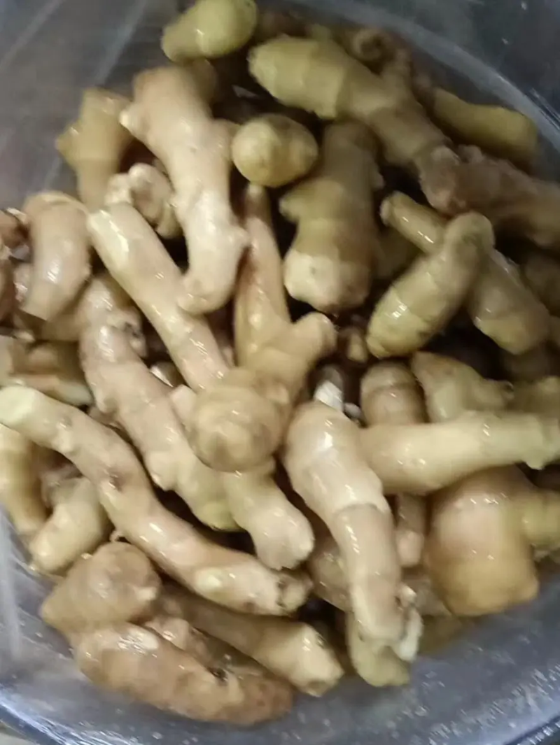 精品小黄姜生姜产地直发品质保证对接各类客户