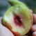 鹰嘴蜜桃苗鹰嘴桃，单果重250以上，七月上旬成熟