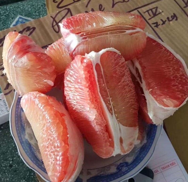 红宝石柚苗红宝石柚苗，嫁接红宝石鲜嫩多汁结果多多
