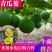 青瓜蒌，全瓜蒌.8号，9号，22号产地直发品质保证