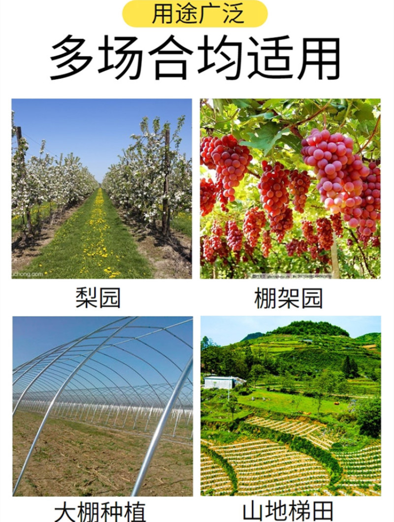 大棚履带旋耕机调头转向灵活田园管理机果园开沟施肥机
