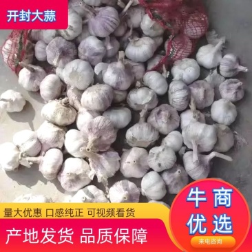 【开封大蒜】河南大蒜干蒜口感好产地发货价位便宜