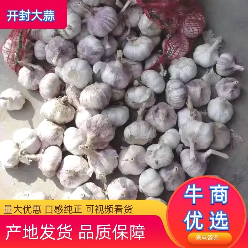 【开封大蒜】河南大蒜干蒜口感好产地发货价位便宜