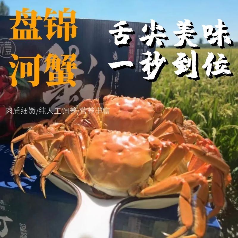 正宗盘锦河蟹，产地直发，全国发货，可供电商货、市场批发