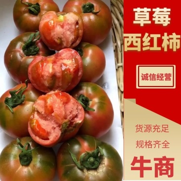 盘锦草莓西红柿,产地直供,饱满多汁,自然成熟,酸甜可口