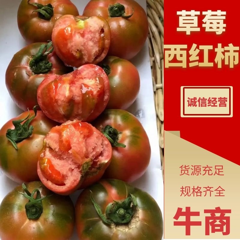 盘锦草莓西红柿，产地直供，饱满多汁，自然成熟，酸甜可口