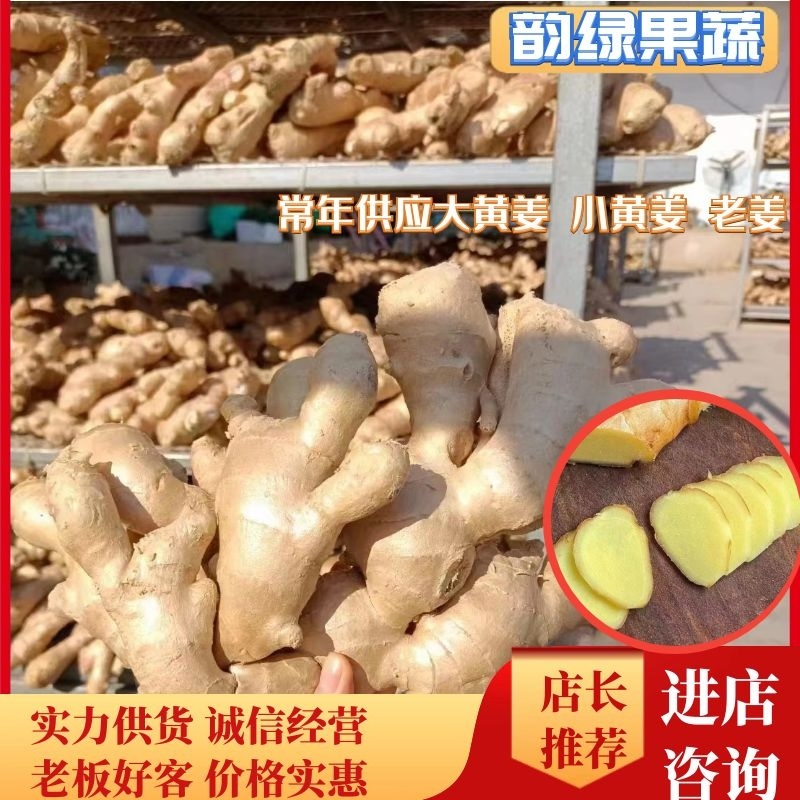 山东生姜基地，小黄姜，全国发货，货源足