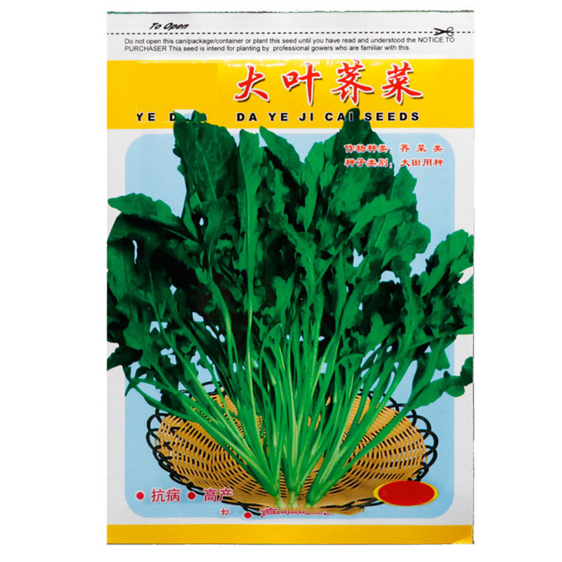 荠菜种子野菜大全农家四季大叶地菜种籽食用盆栽荠荠菜种籽孑
