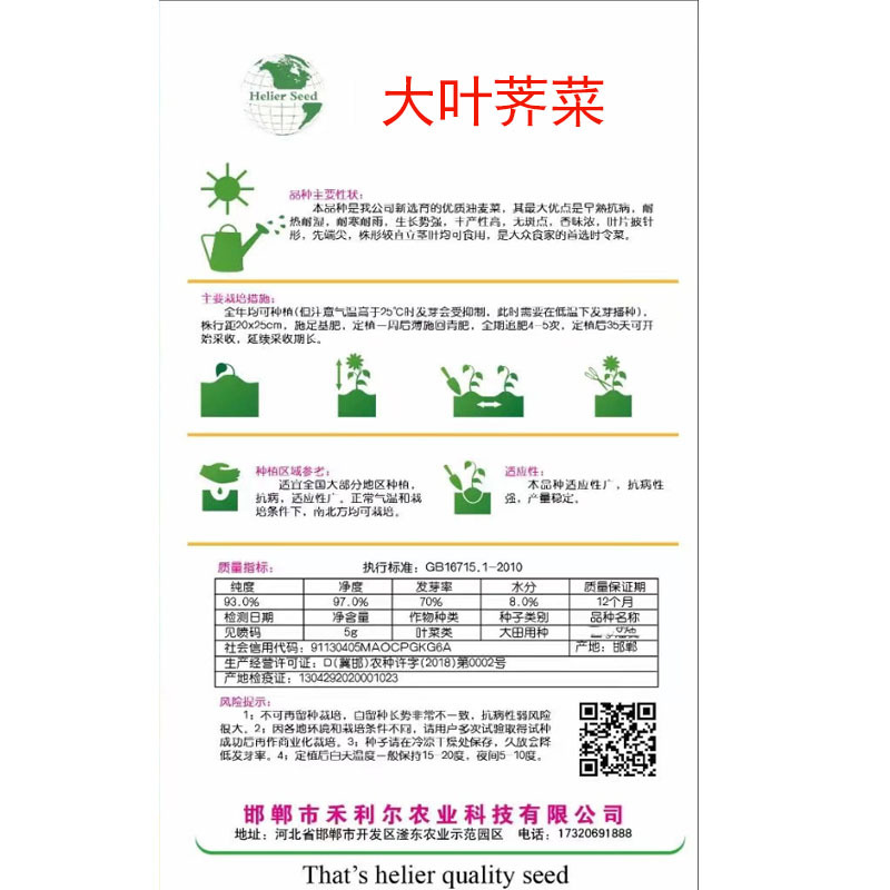 荠菜种子野菜大全农家四季大叶地菜种籽食用盆栽荠荠菜种籽孑